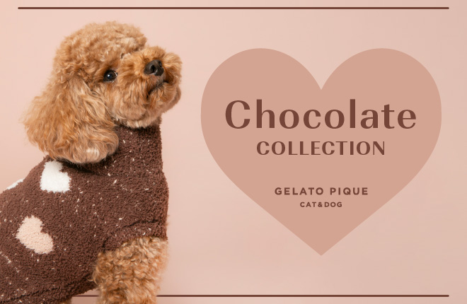 Chocolate COLLECTION -GELATO PIQUE CAT&DOG-