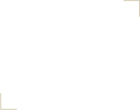 06 VALENTINE COLLECTION