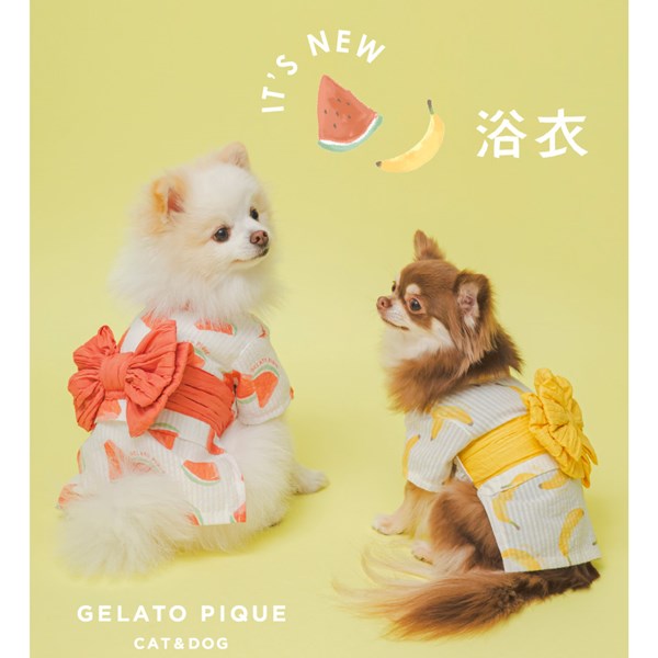 gelato pique(ジェラート ピケ)のニュース | ＼浴衣が登場／GELATO PIQUE CAT&DOG  SUMMER COLLECTION！