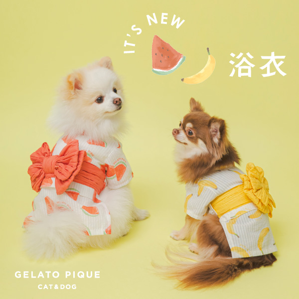 gelato pique(ジェラート ピケ)のニュース | ＼浴衣／GELATO PIQUE CAT&DOG  SUMMER COLLECTION！