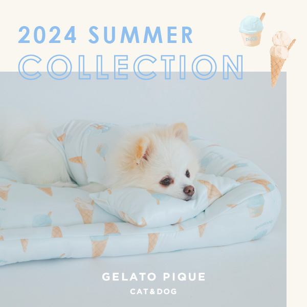 gelato pique(ジェラート ピケ)のニュース | ＼ 本日販売開始／【GELATO PIQUE CAT&DOG 】2024SUMMER COLLECTION！