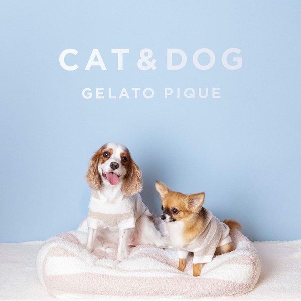 gelato pique(ジェラートピケ)のニュース | 【本日販売開始】GELATO PIQUE CAT&DOG！