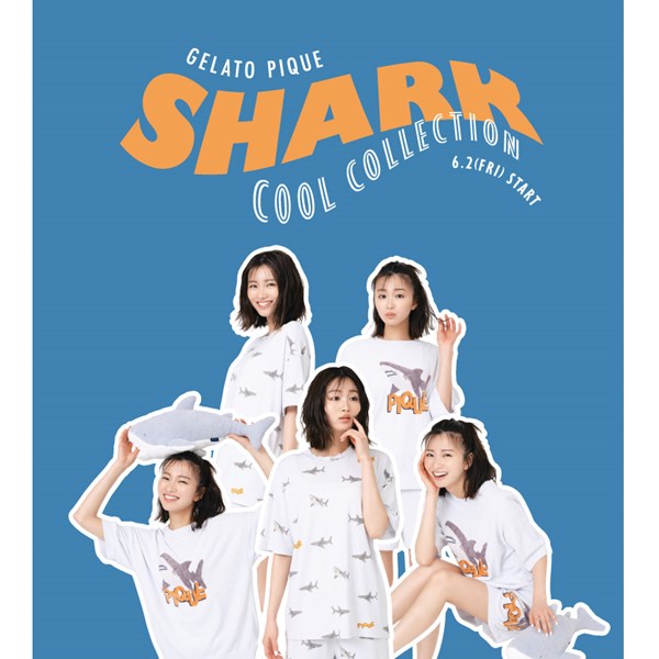 gelato pique(ジェラート ピケ)のニュース | 【6.2販売開始】SHARK COOL COLLECTION
