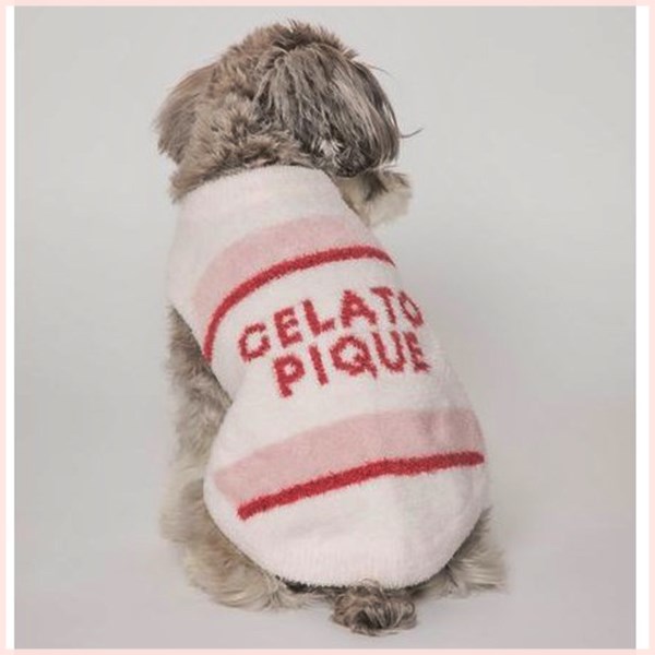 gelato pique(ジェラート ピケ)のニュース | ＼  GELATO PIQUE CAT&DOG ／スタッフおすすめ春ウエア