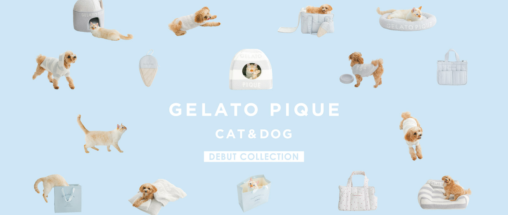 GELATO PIQUE CAT&DOG 【DEBUT】