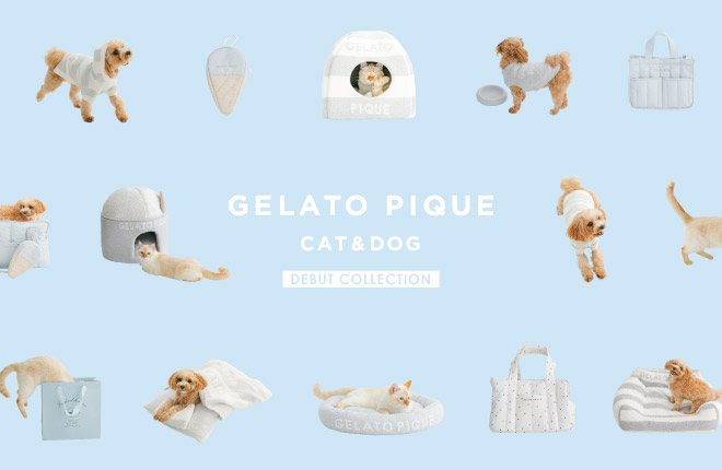 GELATO PIQUE CAT&DOG 【DEBUT】