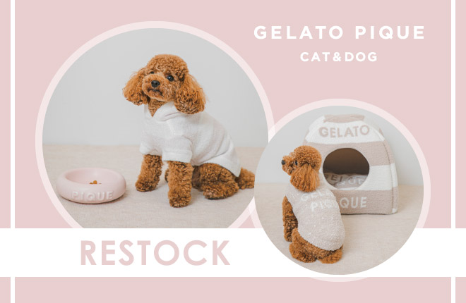 GELATO PIQUE CAT&DOG -RESTOCK-