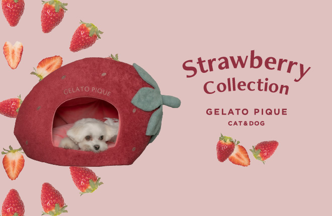 GELATO PIQUE CAT&DOG Strawberry Collection