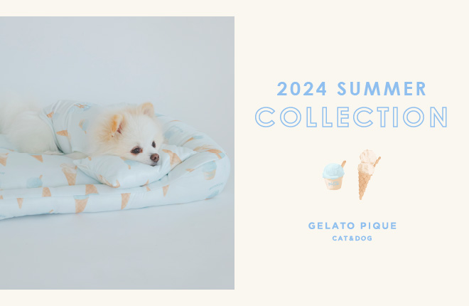 GELATO PIQUE CAT&DOG 2024 SUMMER COLLECTION