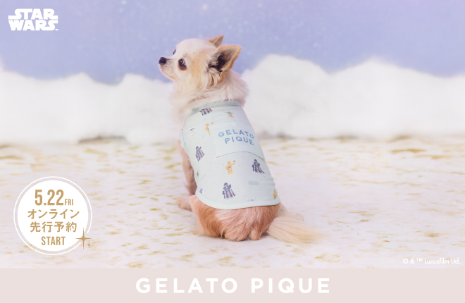 STAR WARS Collection GELATO PIQUE