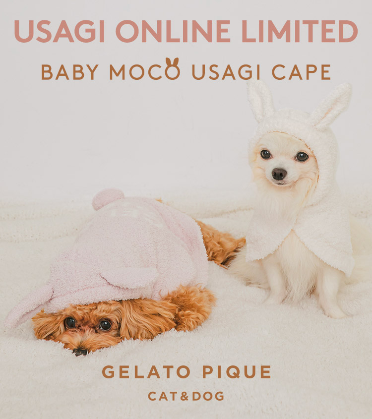GELATO PIQUE CAT&DOG (ジェラート ピケ キャットアンドドッグ