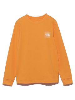 THE NORTH FACE/【THE NORTH FACE】L/S Graphic Tee/カットソー/Tシャツ