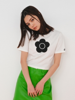 LILY BROWN/【WEB限定カラー】【LILY BROWN×MARY QUANT】バリエーションクロップドTシャツ/カットソー/Tシャツ