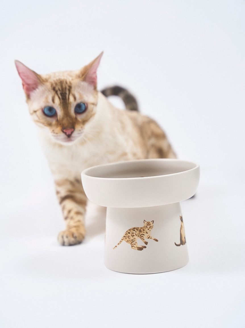 CAT&DOG】【販路限定商品】 ねこ柄フードボウル（食器）｜GELATO PIQUE