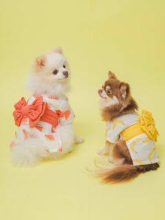 GELATO PIQUE CAT&DOG/【CAT&DOG】【販路限定商品】フルーツ柄浴衣/ペット服