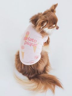 ジェラート ピケ キャットアンドドッグ(GELATO PIQUE CAT&DOG)の【CAT&DOG】【販路限定商品】アイス柄COOLプルオーバー ペット服