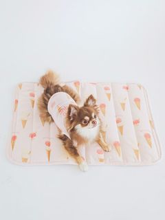 GELATO PIQUE CAT&DOG/【CAT&DOG】【販路限定商品】アイス柄COOLマット/ペットベッド・ハウス