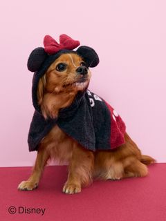 GELATO PIQUE CAT&DOG/【CAT&DOG】【販路限定商品】Minnie/スムーズィーケープ/ペット服
