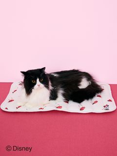 GELATO PIQUE CAT&DOG/【CAT&DOG】【販路限定商品】Minnie/COOLマット/ペットベッド・ハウス
