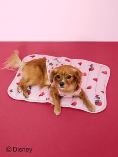 GELATO PIQUE CAT&DOG/【CAT&DOG】【販路限定商品】Minnie/COOLプルオーバー/ペット服