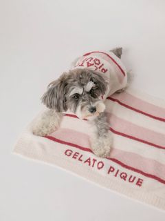 GELATO PIQUE CAT&DOG/【CAT&DOG】【販路限定商品】ストロベリーボーダーブランケット/ペット服