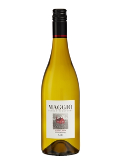 USAGI Wine/マッジオ　シャルドネ / Maggio Chardonnay/ワイン
