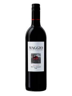 USAGI Wine/マッジオ　オールドヴァイン　ジンファンデル / Maggio Maggio Old Vine Zinfandel/ワイン