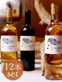 USAGI Wine/【Nadeshiko】なでしこシリーズ12本セット/ワイン