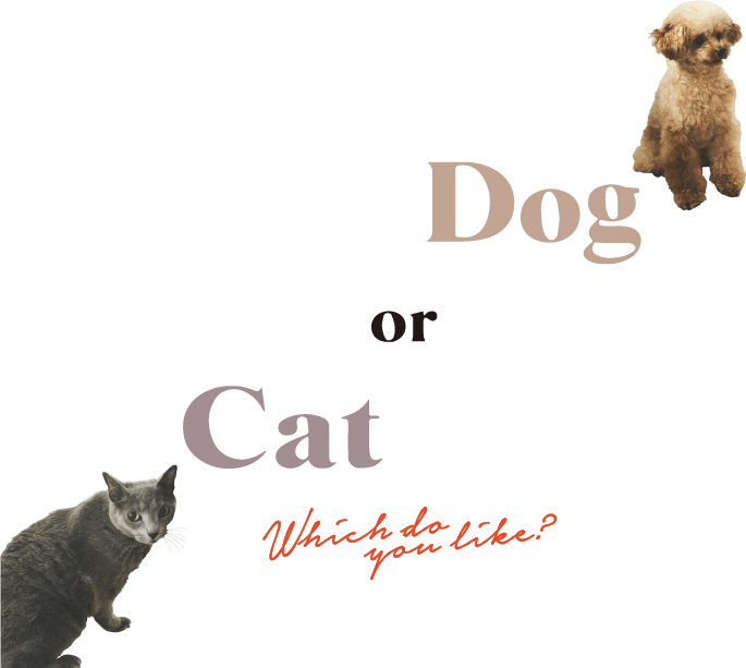 Dog & Cat Which do you like?