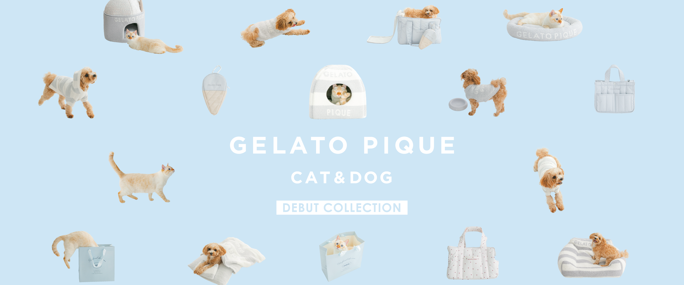 Gelato Pique Cat & Dog