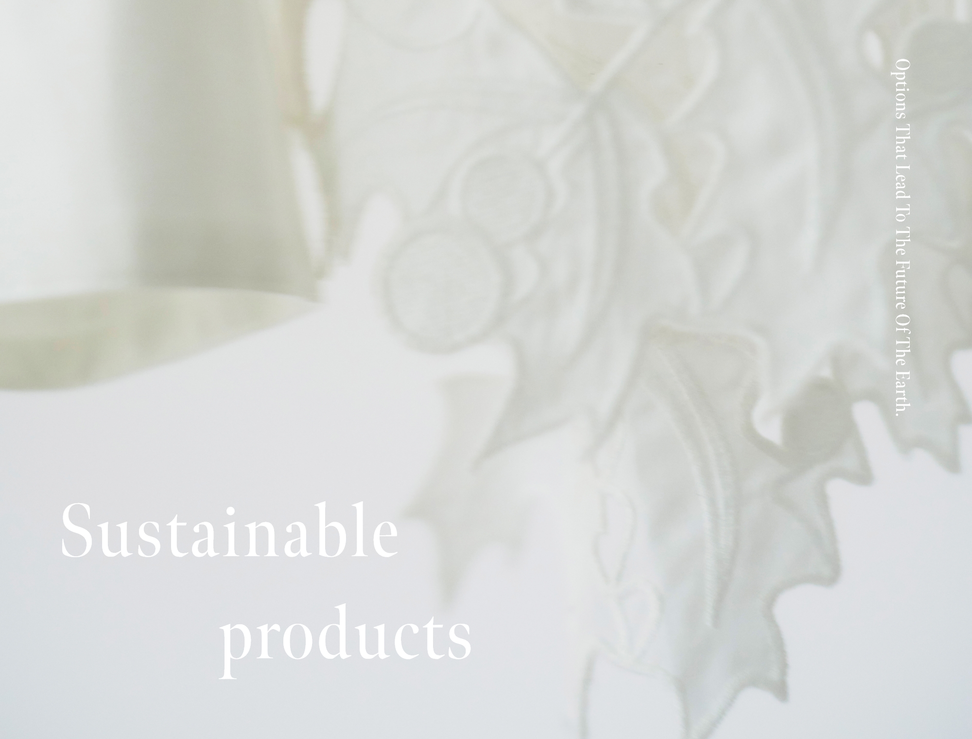 Sustainable products Options That Lead To The Future Of The Earth.
