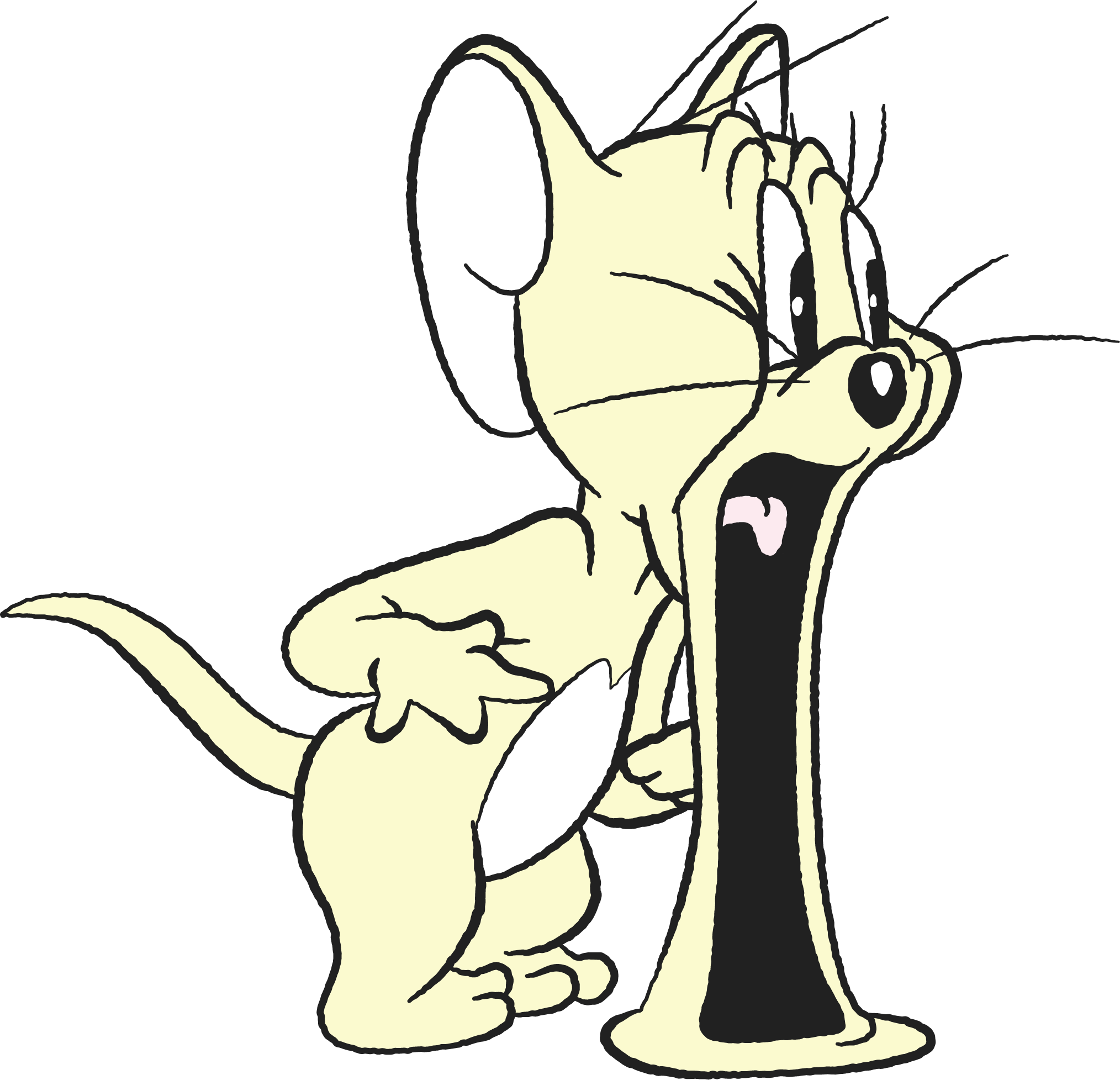 TOM and JERRY meets Mitea ORGANIC ♡｜ファッション通販｜ウサギ 