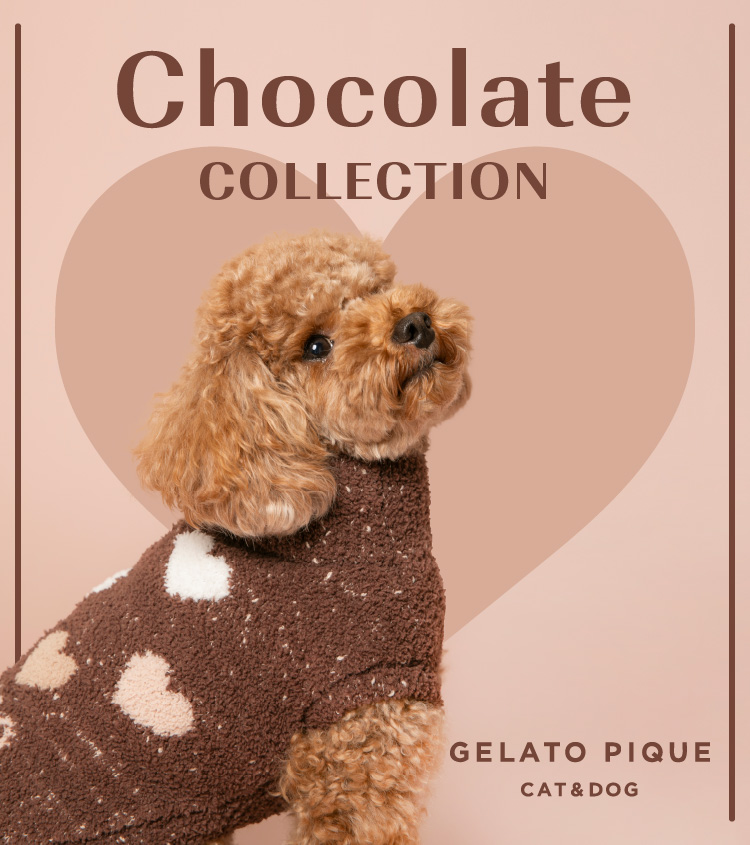 Chocolate COLLECTION -GELATO PIQUE CAT&DOG-