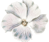 flower decolation
