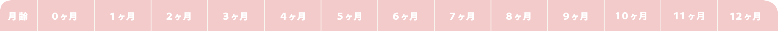 産まれてから1年 BABYに必要なものリスト
