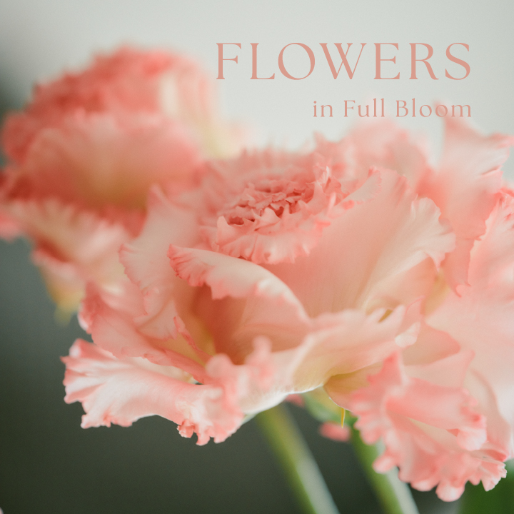 FLOWERS in Full Bloom