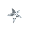 星型の紙吹雪