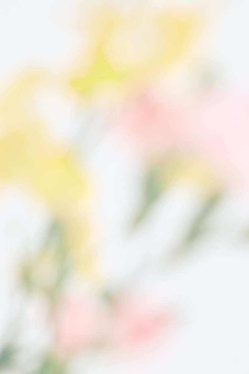 背景画像