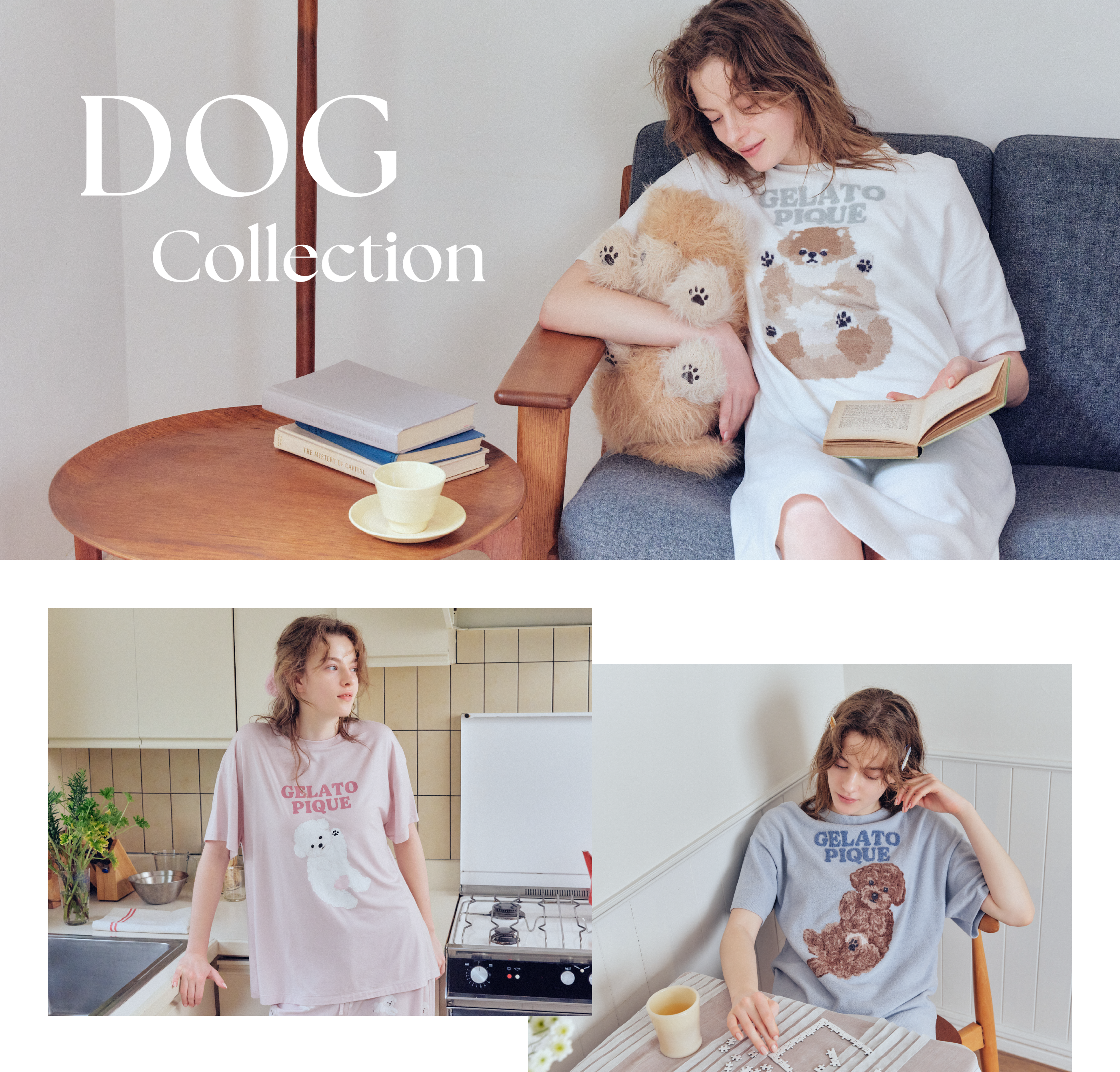 DOG Collection