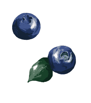 ブルーベリー