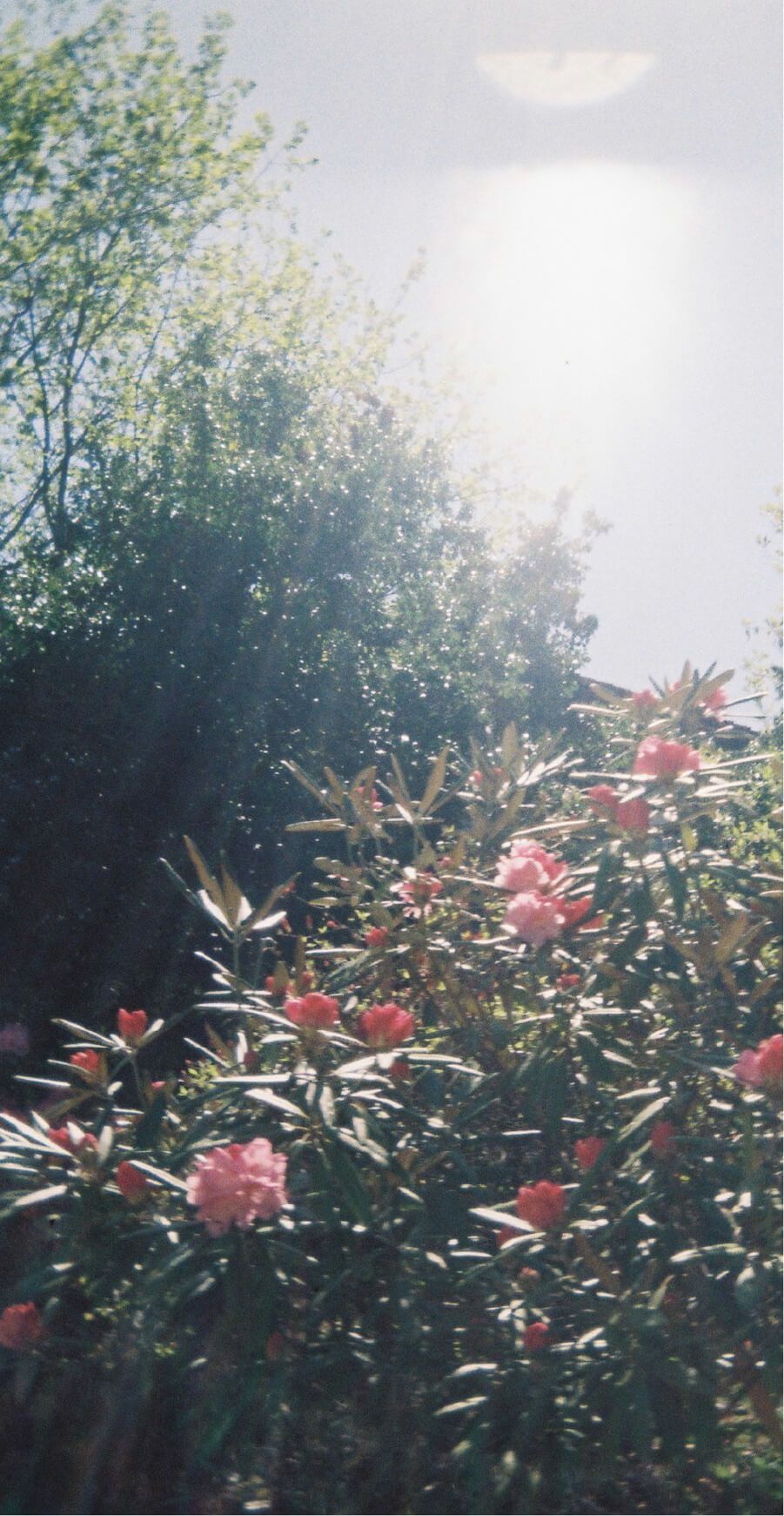 背景画像
