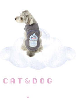 CAT&DOG