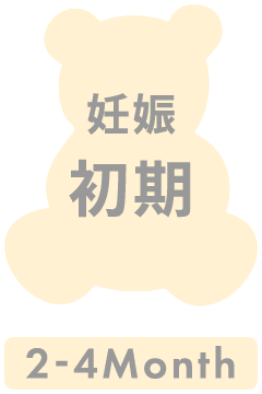 妊娠初期 2-4month