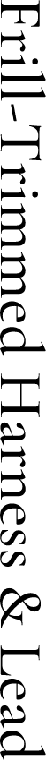 Text 02