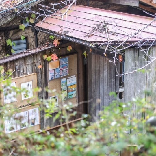 きょん 毎日カフェ日和 広島県尾道市 帆雨亭 はんうてい Usagi Magazine ウサギオンライン公式通販サイト