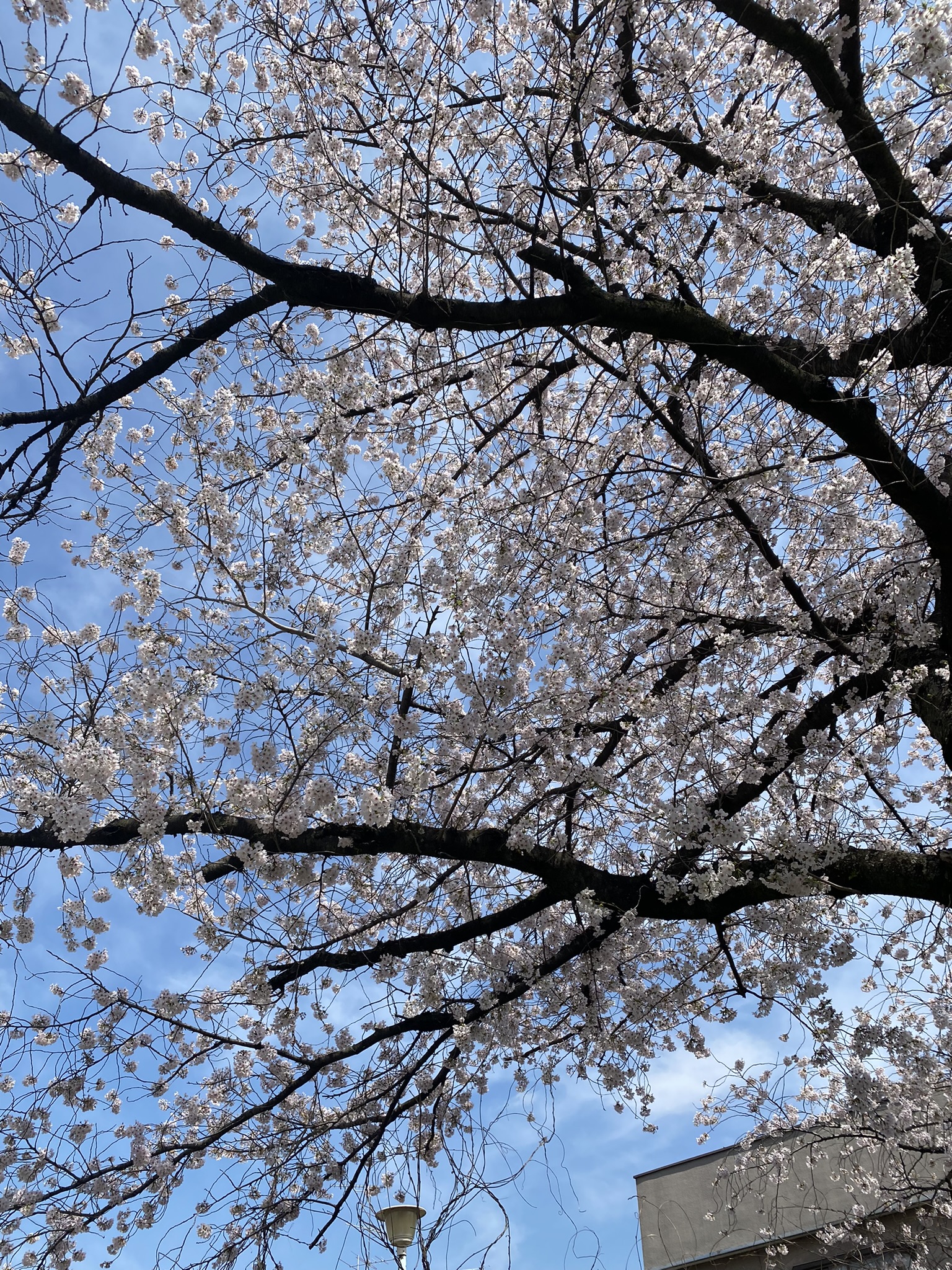 image0 (6)